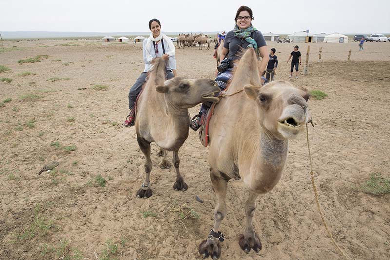 facts about mongolian camels 